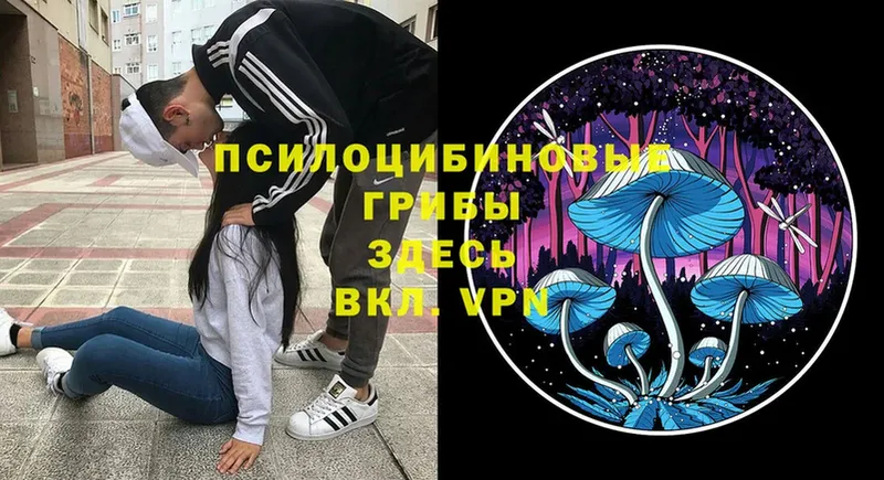 Псилоцибиновые грибы MAGIC MUSHROOMS  Козьмодемьянск 